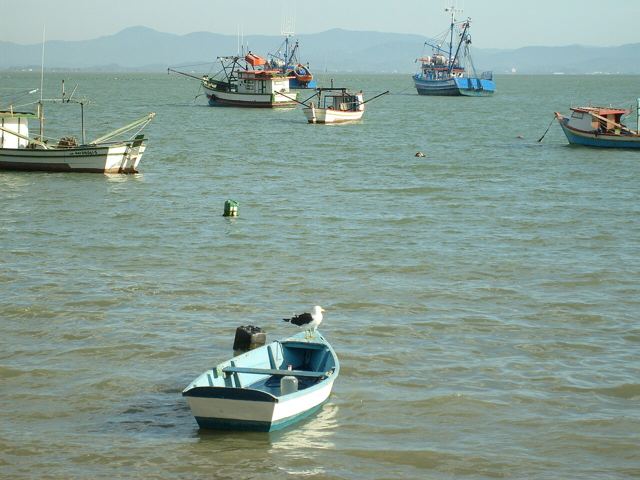 Barcos de pesca ancorados na baía
